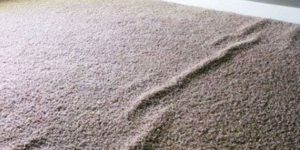 carpet restretching