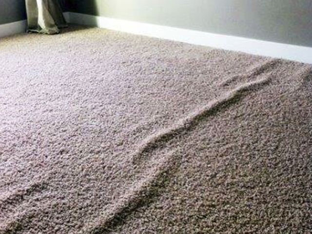 carpet restretching